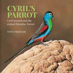 Cyrils Parrot